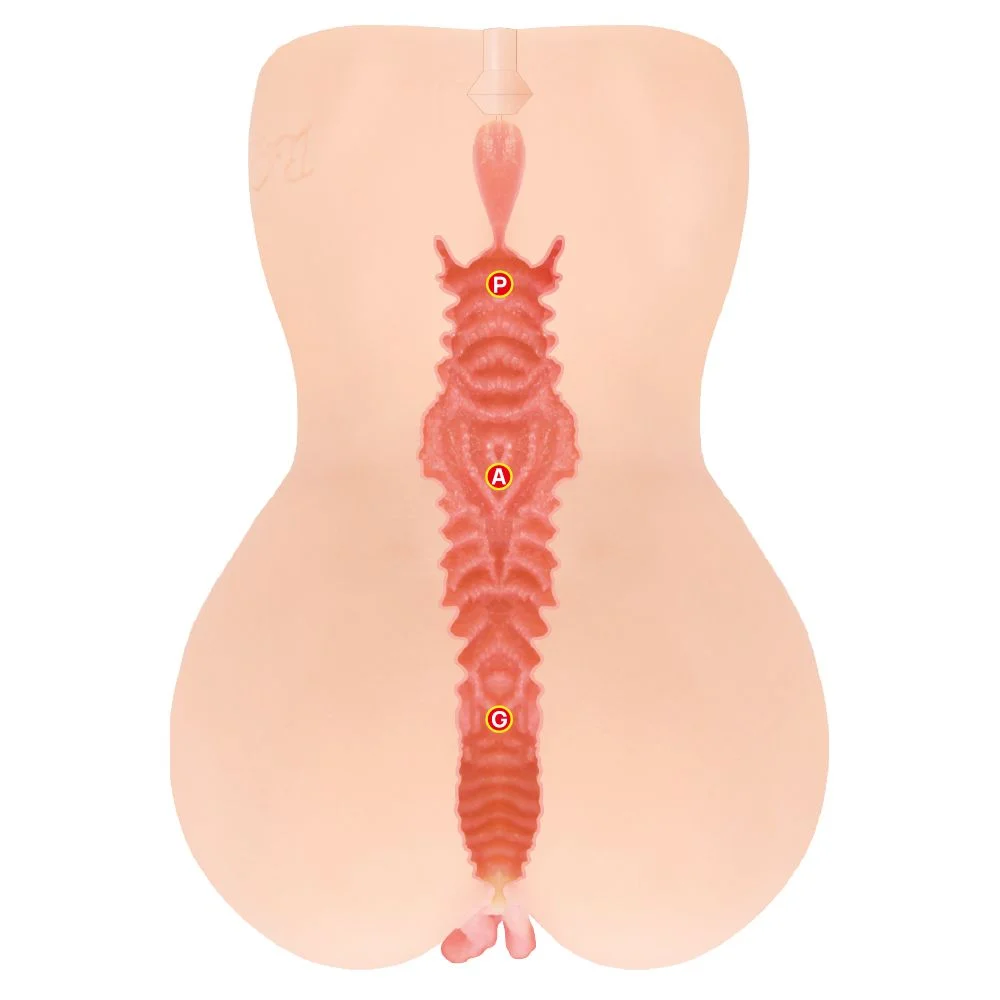 Kokos - Onahole Edition 001 Double Layer XL Masturbator