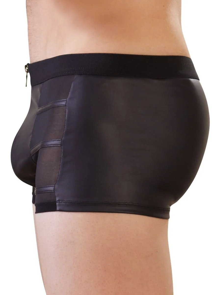 Doorschijnende Boxer Met Wetlook