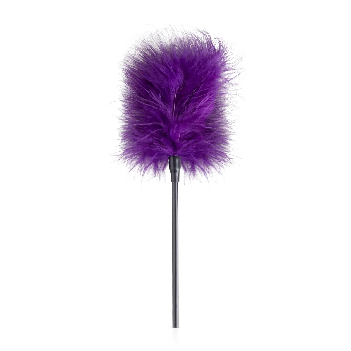 Secret Pleasure Chest X Bedroom fantasies - Purple Apprentice