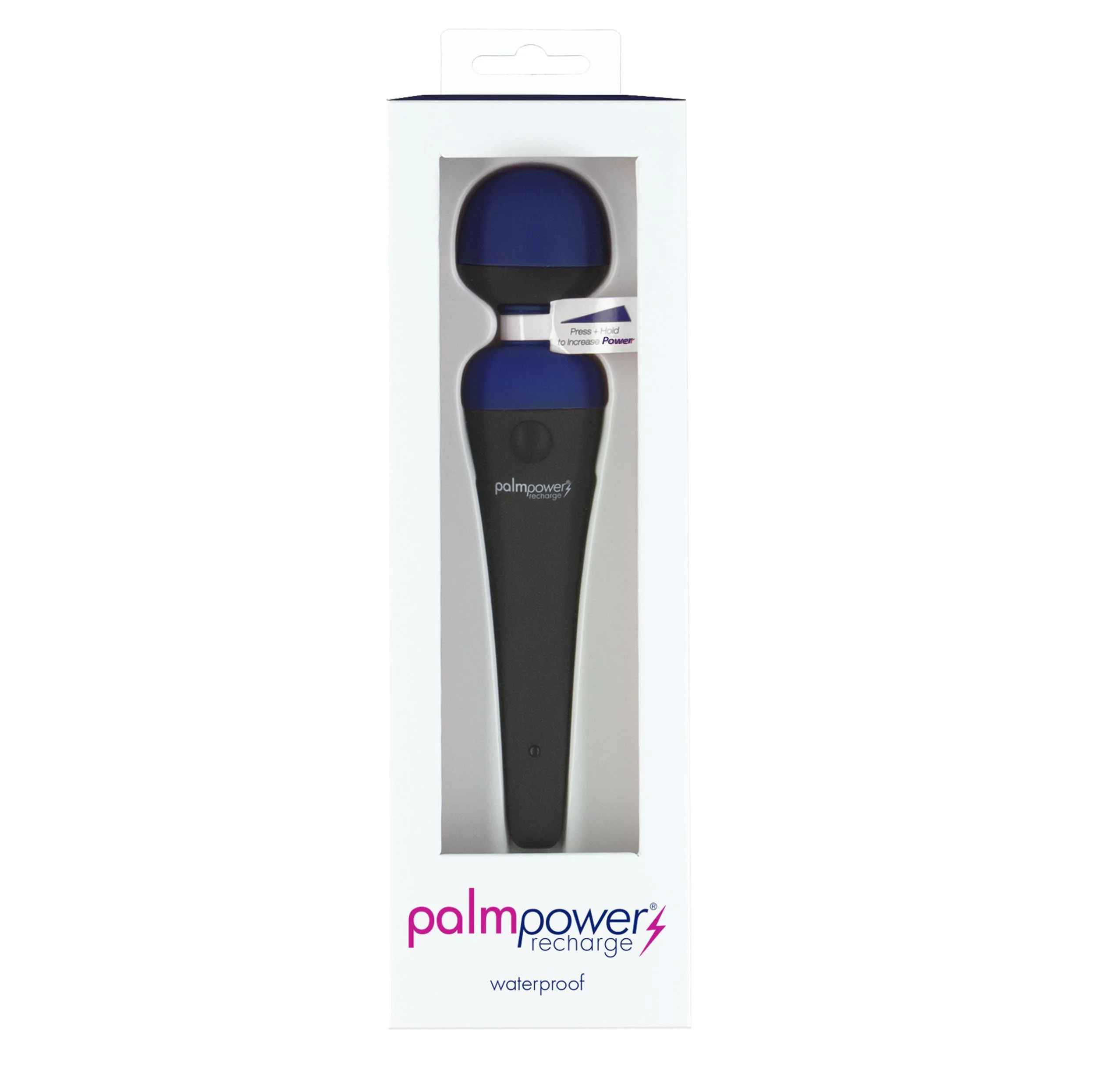 PalmPower - Recharge Wand Massager Blue