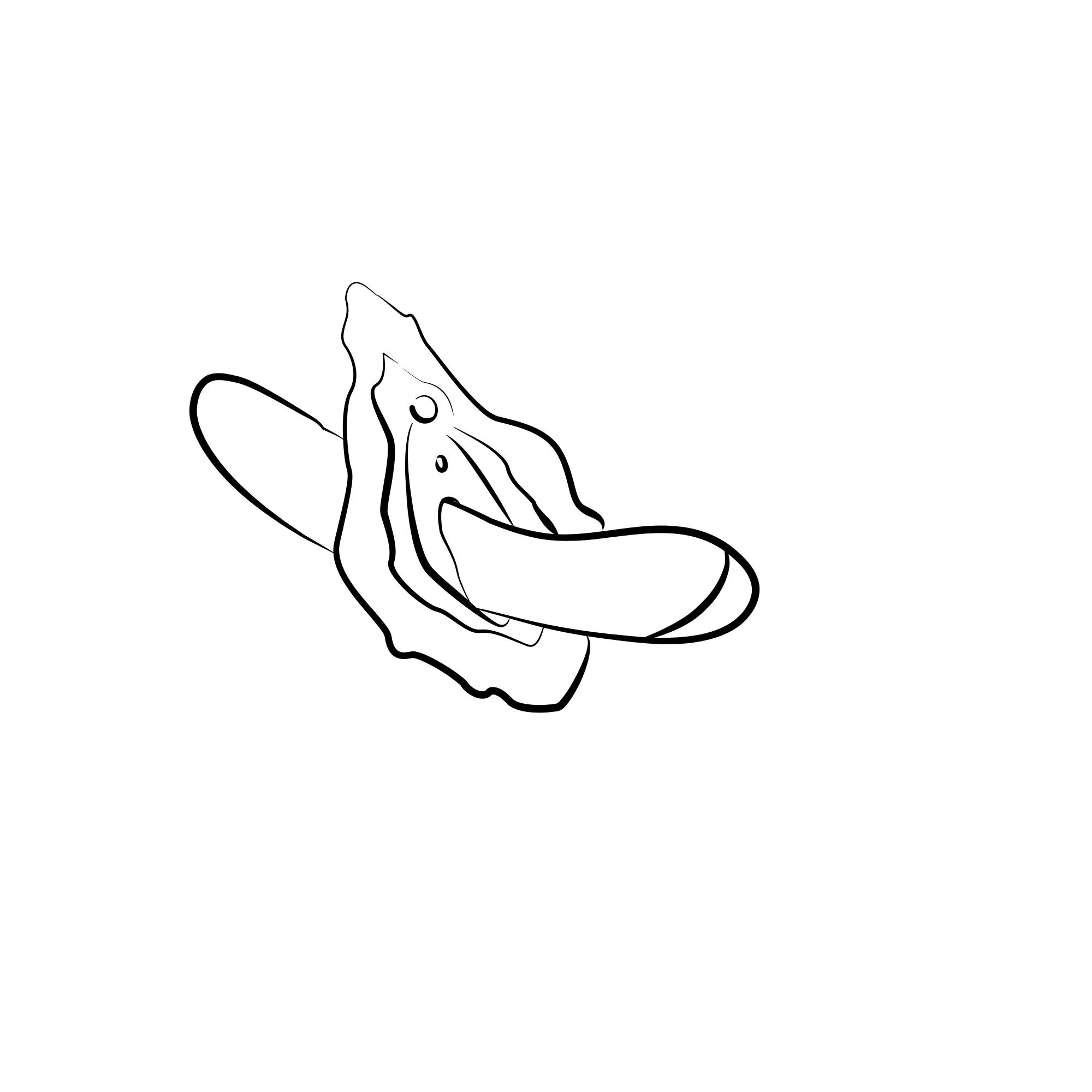 ROMP by Womanizer - Hype G-spot Vibrator