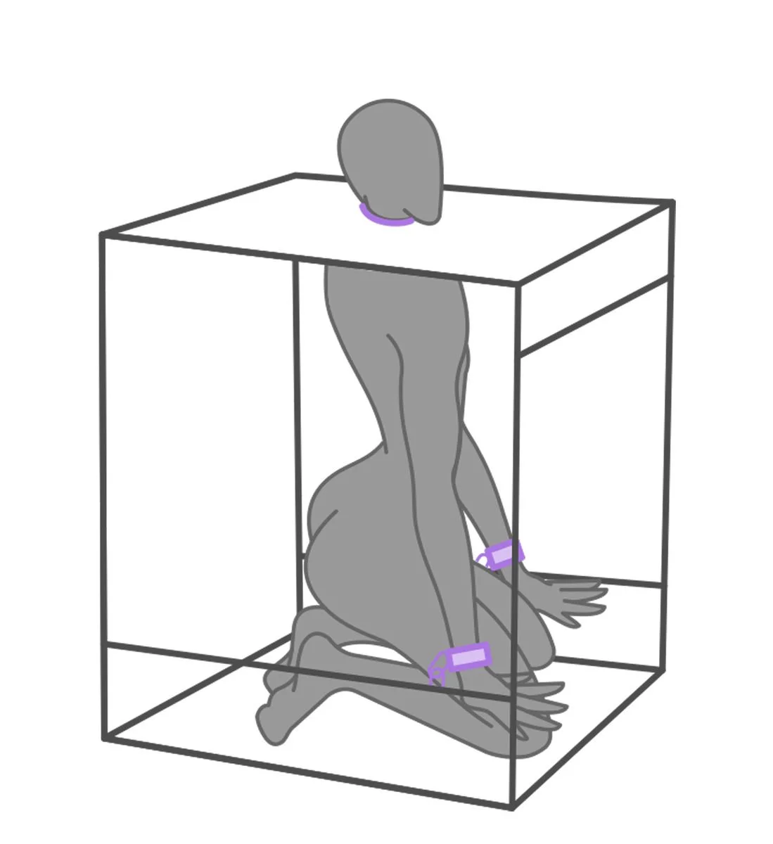 Secretdome – BUKKAKE – Paars