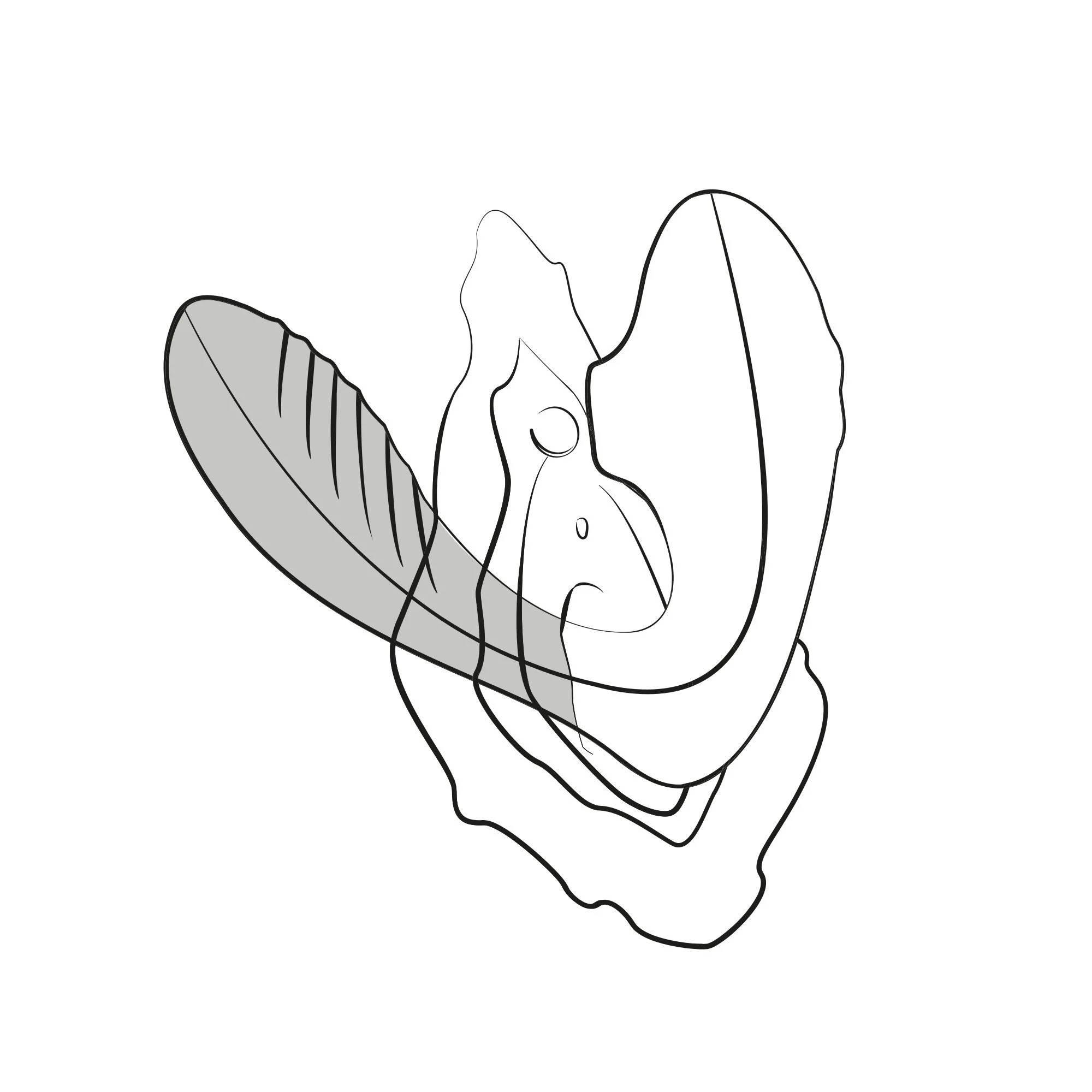 ROMP by Womanizer - Reverb Dubbel Plezier 2 in 1