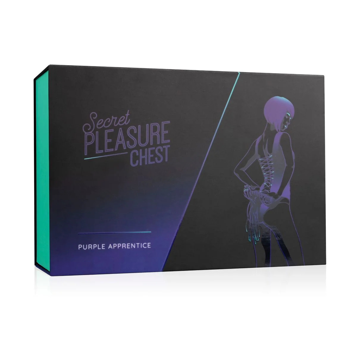 Secret Pleasure Chest X Bedroom fantasies - Purple Apprentice