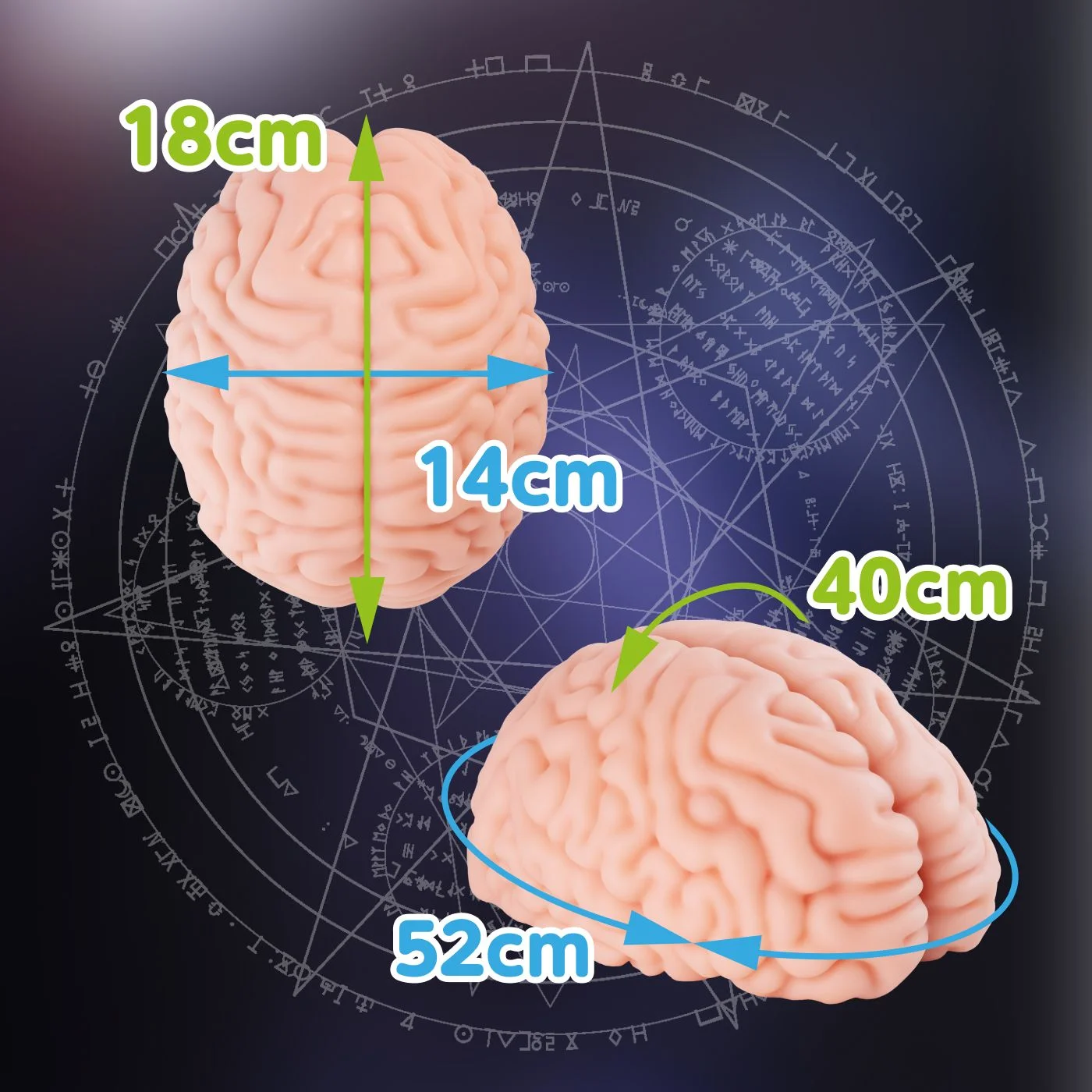XTC Japan – Brain Hacker DX Masturbator – Peach