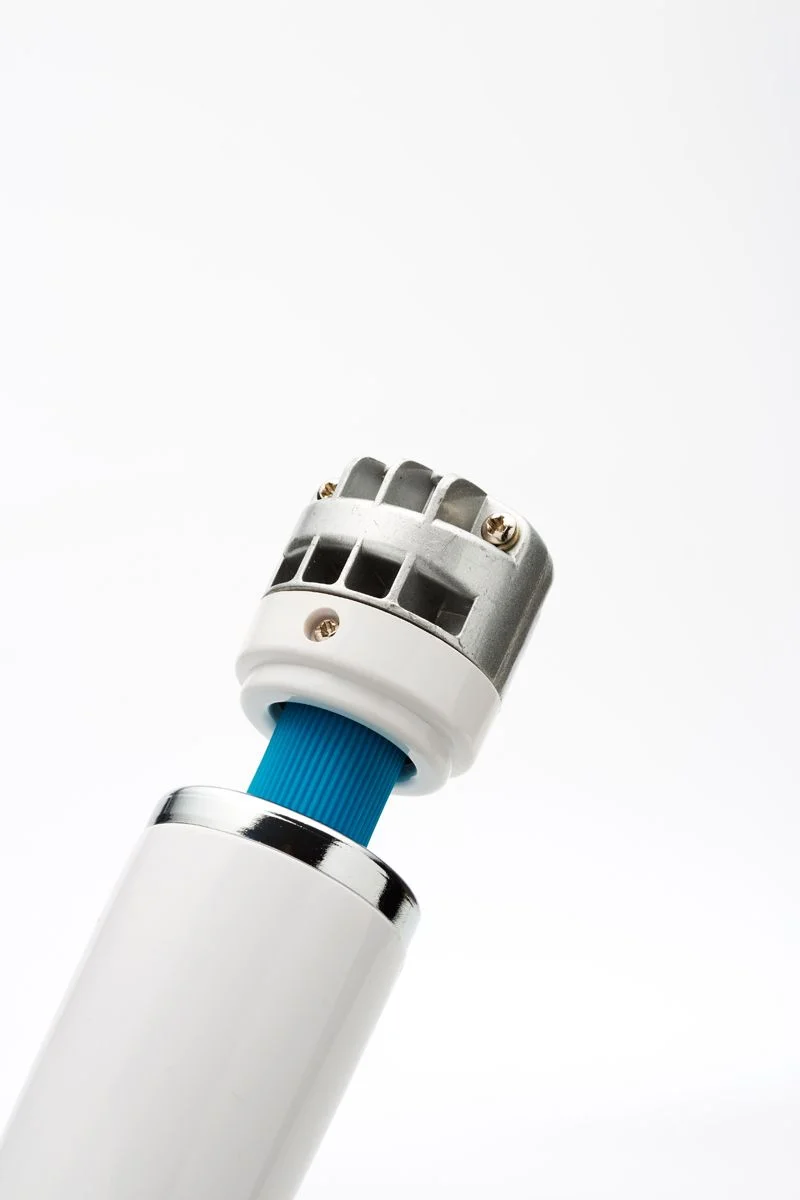 Europe Magic Wand Massager