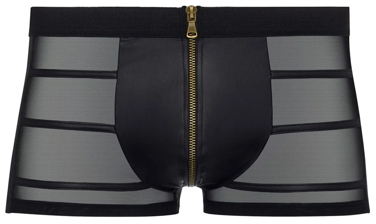 Doorschijnende Boxer Met Wetlook